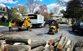 Best Emergency Tree Removal  in Dunbar, WV